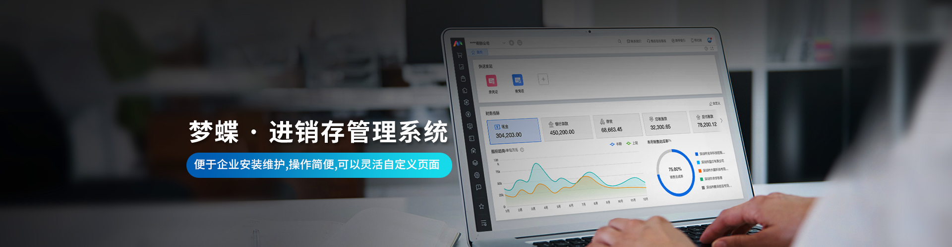 夢蝶科技進(jìn)銷存軟件