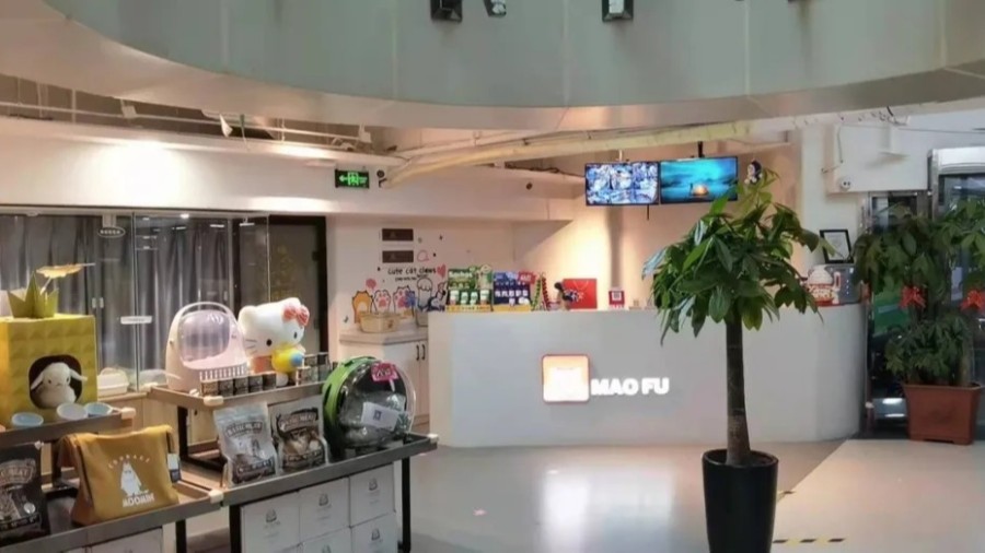 金蝶云星辰寵物行業案例：新零售時代，寵物企業如何決勝市場?